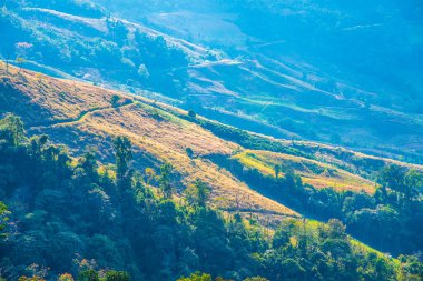 Tayland 'ın Chiangrai eyaletinde dağ manzarası.