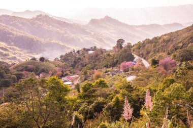 Tayland 'ın Chiangrai eyaletinde dağ manzarası.