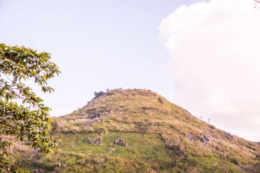 Tayland 'ın Chiangrai ilindeki Doi Pha Tang Dağı manzarası.