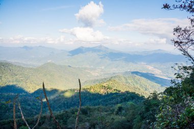 Tayland 'ın Chiangrai ilindeki Doi Pha Tang Dağı manzarası.