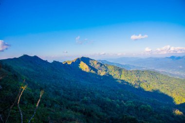 Tayland 'ın Chiangrai ilindeki Doi Pha Tang Dağı manzarası.