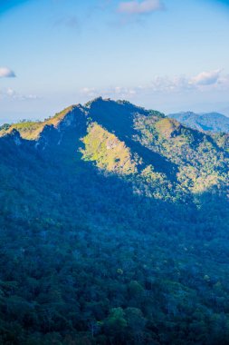 Tayland 'ın Chiangrai ilindeki Doi Pha Tang Dağı manzarası.