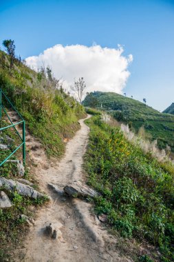 Tayland 'ın Chiangrai ilindeki Doi Pha Tang Dağı manzarası.