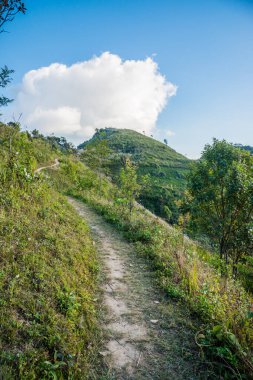 Tayland 'ın Chiangrai ilindeki Doi Pha Tang Dağı manzarası.
