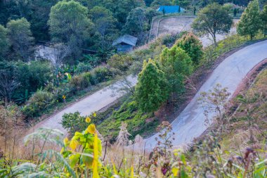 Chiangrai, Tayland 'da Doi Pha Tang yolu..