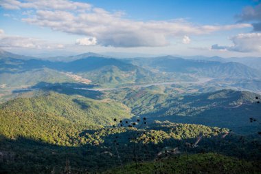 Tayland 'ın Chiangrai ilindeki Doi Pha Tang Dağı manzarası.