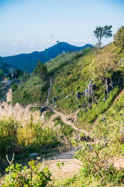 Tayland 'ın Chiangrai ilindeki Doi Pha Tang Dağı manzarası.
