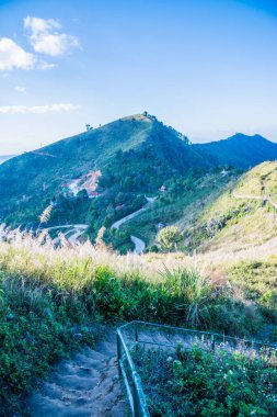 Tayland 'ın Chiangrai ilindeki Doi Pha Tang Dağı manzarası.