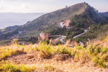 Tayland 'ın Chiangrai ilindeki Doi Pha Tang Dağı manzarası.