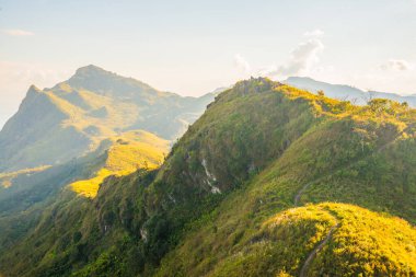 Tayland 'ın Chiangrai ilindeki Doi Pha Tang Dağı manzarası.