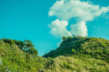 Tayland 'ın Chiangrai ilindeki Doi Pha Tang Dağı manzarası.