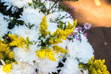 Taze çiçeklerin yakın çekimi, Tayland.