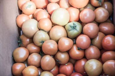 Bir grup portakallı domates, Tayland.