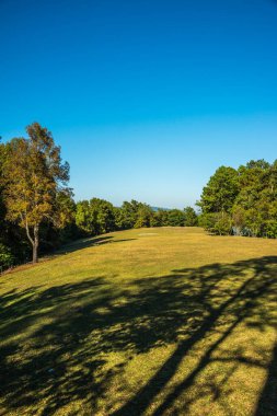 Tayland 'da, dağda çimler..