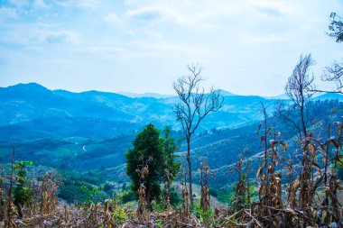 Tayland 'ın Phayao eyaletindeki dağ manzarası.