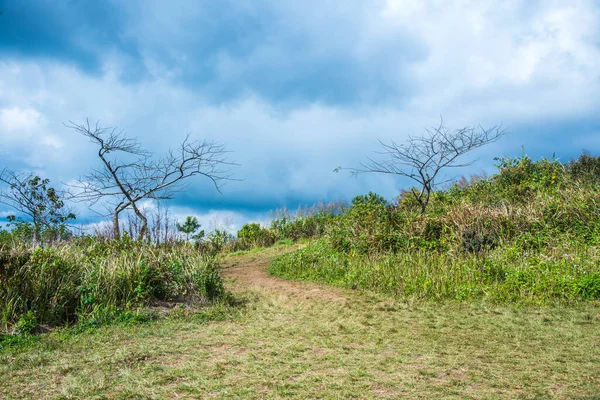Chiangrai, Tayland 'daki Phu Chi Fa Dağı manzarası.