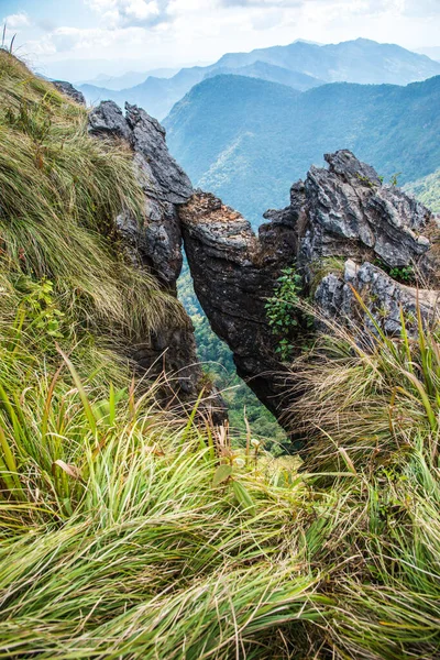 Chiangrai, Tayland 'daki Phu Chi Fa Dağı manzarası.