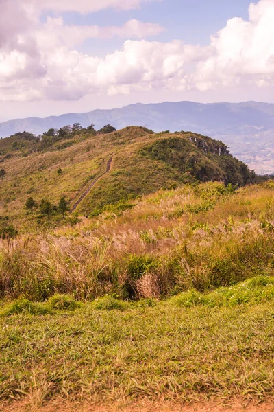 Chiangrai, Tayland 'daki Phu Chi Fa Dağı manzarası.