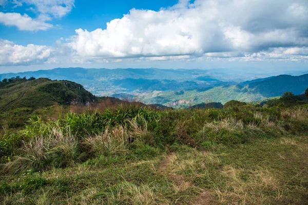 Chiangrai, Tayland 'daki Phu Chi Fa Dağı manzarası.