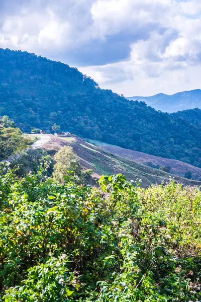 Tayland 'ın Chiangrai eyaletinde dağ manzarası.