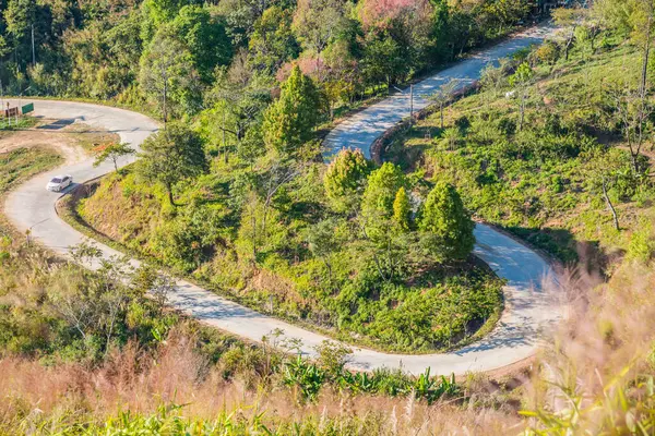 Chiangrai, Tayland 'da Doi Pha Tang yolu..