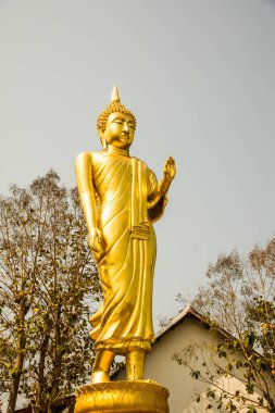 Phra 'da yürüyen altın Buda heykeli. Khao Noi tapınağı, Tayland.