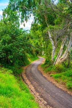 Dağdaki yol, Tayland.