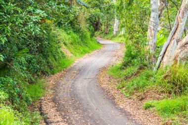 Dağdaki yol, Tayland.