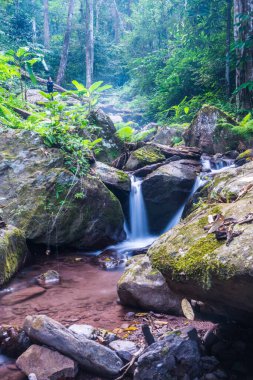 Champa Tanga Şelalesinde Su Akıyor, Tayland.