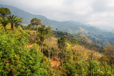 Phu Langka Ulusal Parkı, Tayland Güzel Manzarası.