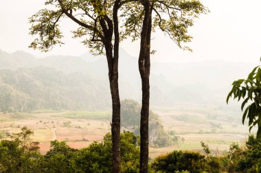 Phu Langka Ulusal Parkı, Tayland Güzel Manzarası.