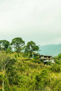Tayland Phulangka Ulusal Parkı 'nda Dağ Manzaralı Küçük Ev.