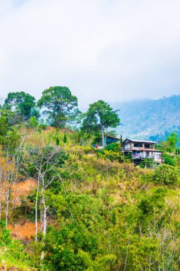 Tayland Phulangka Ulusal Parkı 'nda Dağ Manzaralı Küçük Ev.