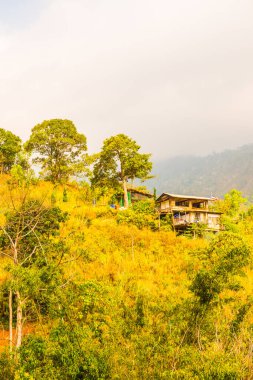 Tayland Phulangka Ulusal Parkı 'nda Dağ Manzaralı Küçük Ev.