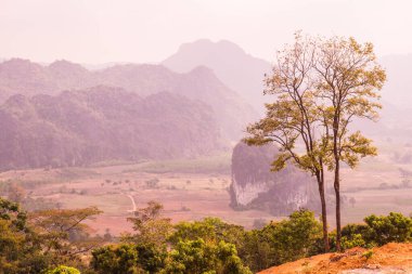 Phu Langka Ulusal Parkı, Tayland Güzel Manzarası.