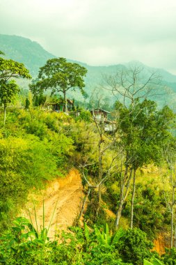 Tayland Phulangka Ulusal Parkı 'nda Dağ Manzaralı Küçük Ev.