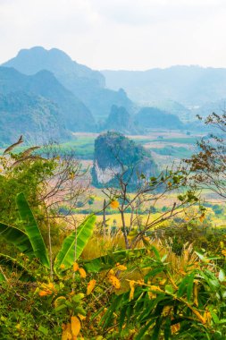 Phu Langka Ulusal Parkı, Tayland Güzel Manzarası.