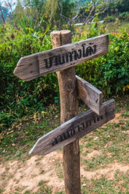 Phu Langka Ulusal Parkı, Tayland.