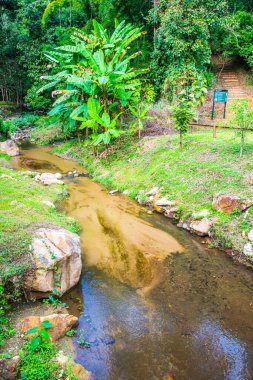 Tayland 'daki Mork Fa şelalesinde küçük bir kanal..