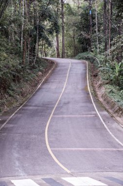 Tayland 'daki dağda küçük bir yol.