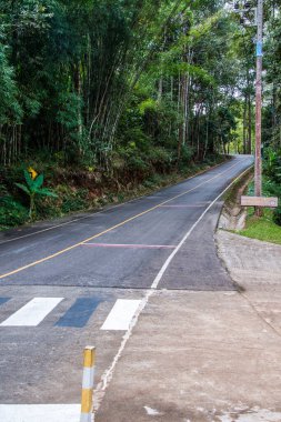 Tayland 'daki dağda küçük bir yol.