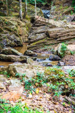 Mork Fa şelalesinin manzarası, Tayland.