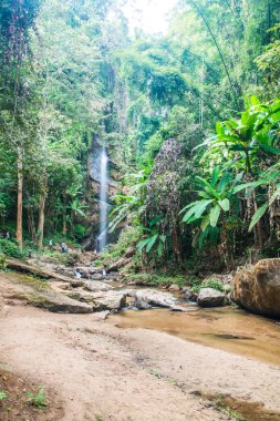 Tayland 'ın Chiangmai ilinde Mork Fa şelalesi.
