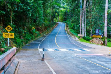 Tayland 'daki dağda küçük bir yol.