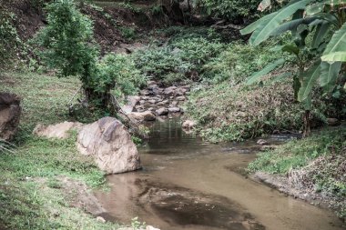 Tayland 'daki Mork Fa şelalesinde küçük bir kanal..
