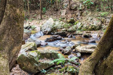 Mork Fa Şelalesi 'nde su akıyor, Tayland.