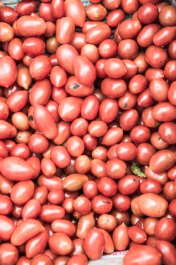 Kırmızı domateslerin arka planı, Tayland.