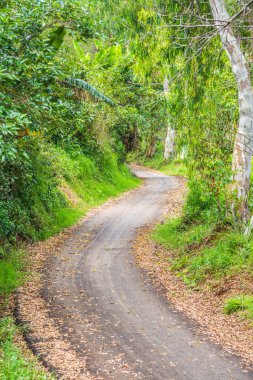 Dağdaki yol, Tayland.