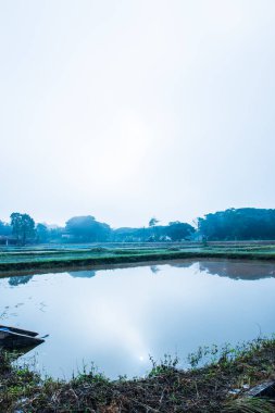 Tayland 'ın Phayao eyaletinde kış mevsiminde sisli balık havuzu.