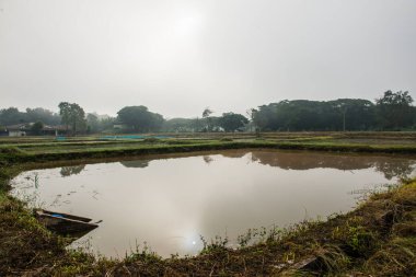 Tayland 'ın Phayao eyaletinde kış mevsiminde sisli balık havuzu.